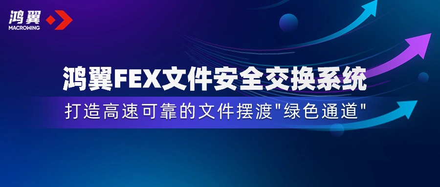 鴻翼FEX文件安全交換系統(tǒng)，打造安全高效的文件擺渡“綠色通道”