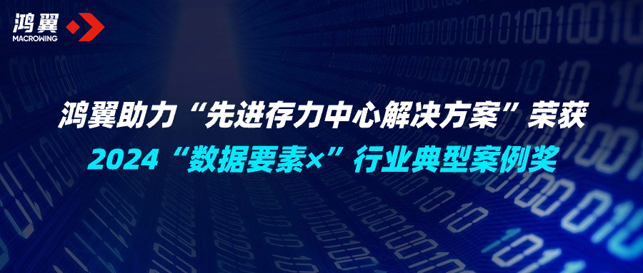 加“數(shù)”前進！鴻翼助力“先進存力中心解決方案”榮獲2024“數(shù)據(jù)要素×”行業(yè)典型案例獎